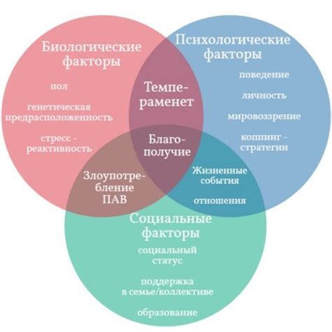 Как социальное окружение влияет на формирование способности к учебе