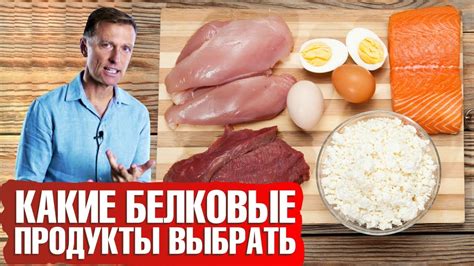 Как увеличить потребление белка в питании