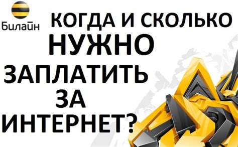 Как узнать, когда нужно платить за услуги интернет-провайдера Билайн Домашний?