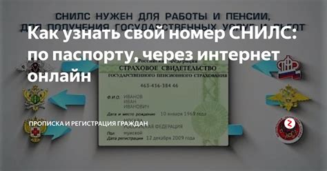 Как узнать СНИЛС по паспорту онлайн