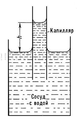 Капиллярное действие фитиля