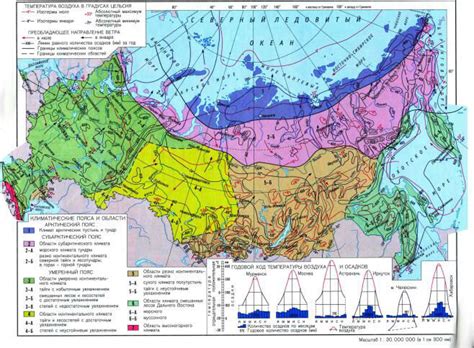 Климат в России и Африке: разница в сезонах года