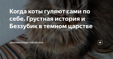 Когда коты начинают гулять?