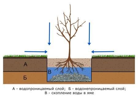 Когда можно удалять дренаж