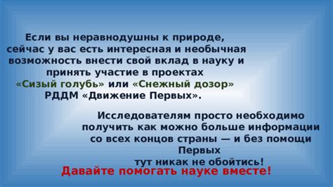 Когда необходимо обойтись без предоставления дополнительной информации