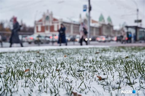 Когда обычно выпадает первый снег?