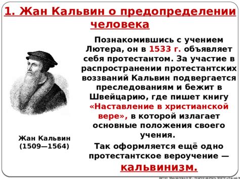 Когда появился кальвинизм и где он достиг наибольшего распространения?