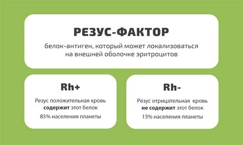 Когда резус фактор варьирует у родителей: влияние на беременность и здоровье ребенка