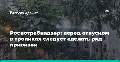 Когда следует ждать предоплаты перед отпуском