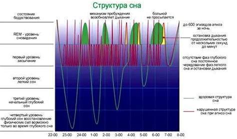 Количество сновидений во время глубокого сна