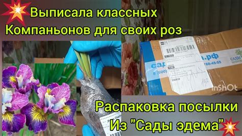 Компаньоны для оптимального опыления