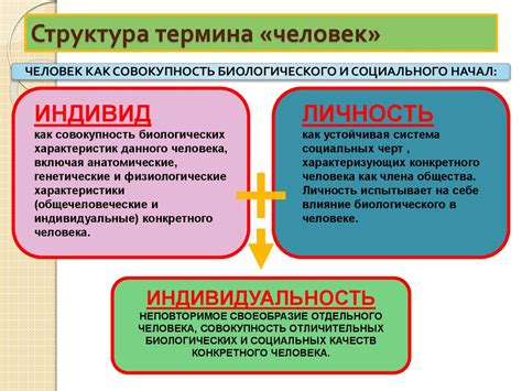 Компоненты индивида и личности