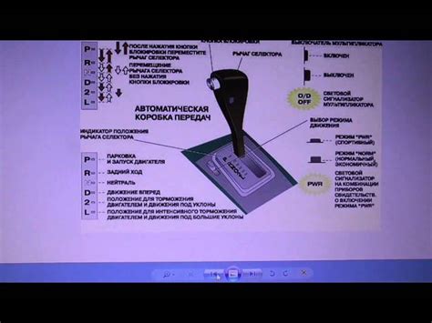 Кому дозволено употреблять спиртное и управлять машиной