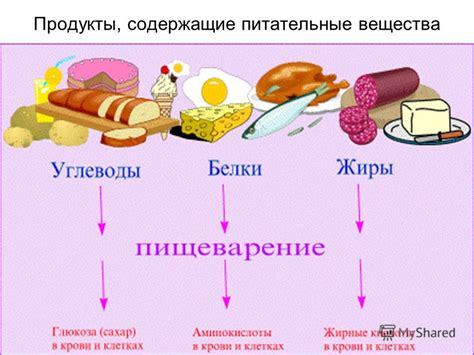 Конкуренция между огурцами и картошкой за питательные вещества