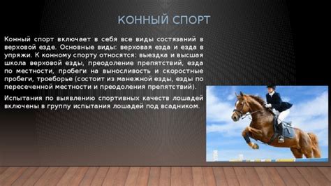 Конный спорт и выносливость: правда или вымысел?