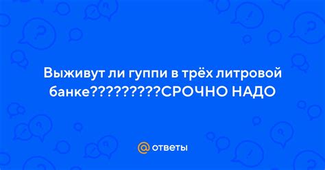 Крайняя ставка: выживут ли братья?