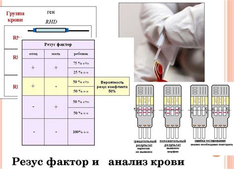 Кто открыл резус фактор крови?