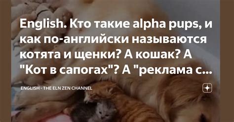 Кто такие котята и щенки