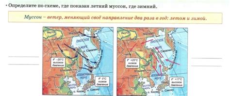 Летний и зимний полив: различия и правила