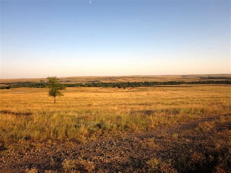 Летом степь вскрылась