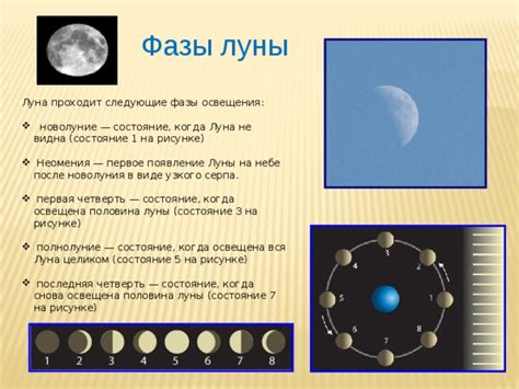 Луна: фазы и появление на небе