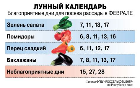 Лучшие сроки для посадки салата на рассаду в 2022 году