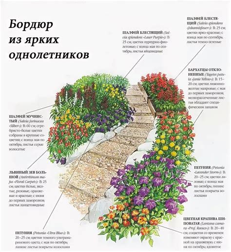 Лучший сезон для посадки цветов: сравнение весны и осени