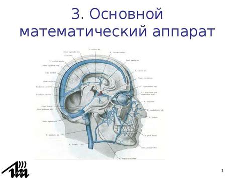 Математический аппарат для расчета рангов