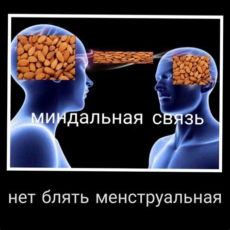 Мемы создают связь между людьми