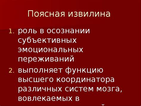 Месячные выделения и их физиологическая роль