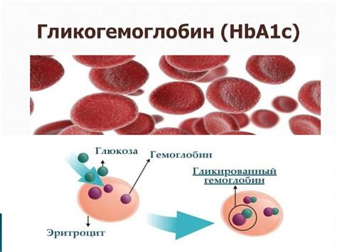 Методы измерения гликозилированного гемоглобина и их точность