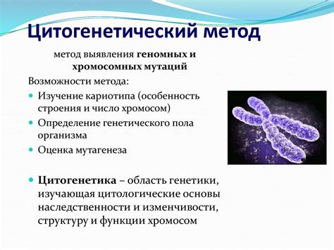 Методы исследования хромосом в клетке