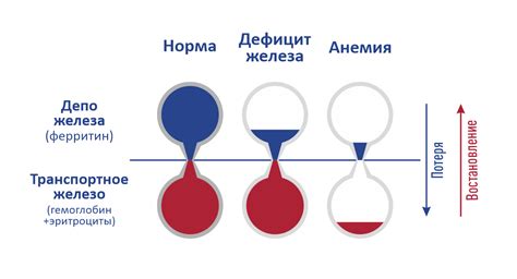 Методы определения дефицита железа