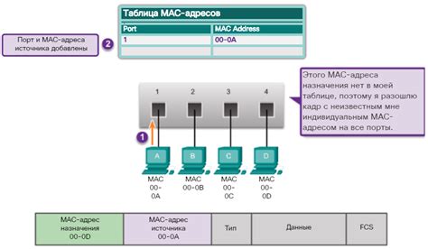 Методы определения MAC-адреса коммутатора