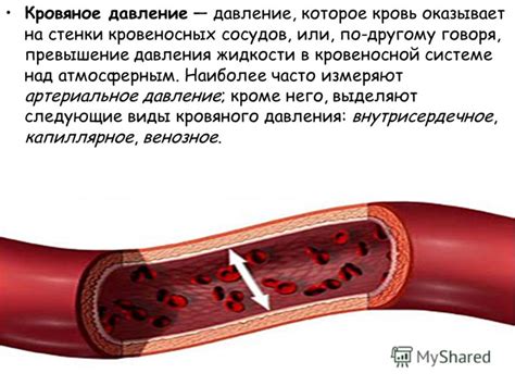 Механизмы влияния приливов на кровяное давление