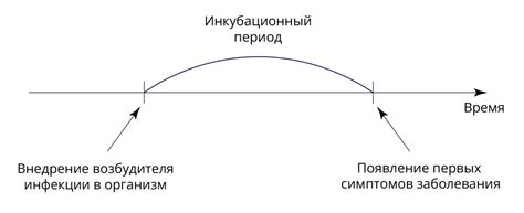 Механизмы передачи во время инкубационного периода