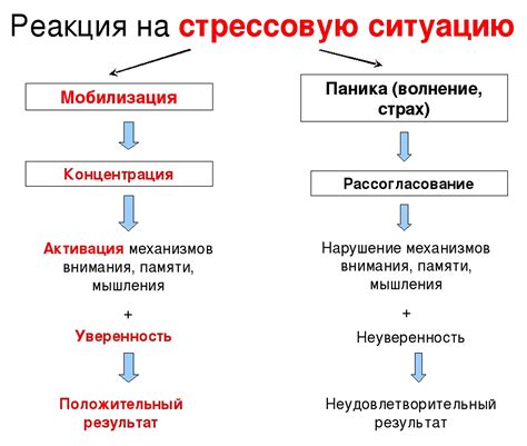 Механизмы реакции организма на паническую атаку