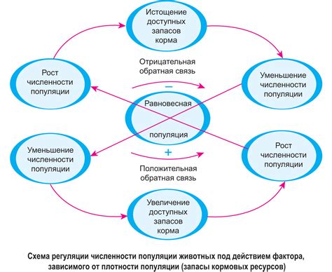 Механизмы регуляции: