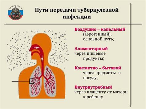 Механизм передачи бешенства через слюну