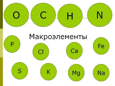 Микро и макро добавки: что это такое и зачем нужны