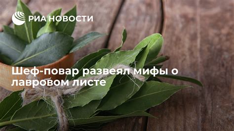 Мифы и заблуждения о лавровом листе