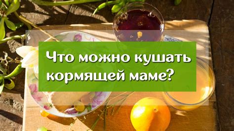 Мифы и факты: можно ли кормящим мамам кушать тыкву