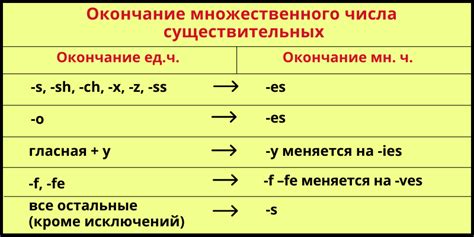 Множественное число "do" в вопросах