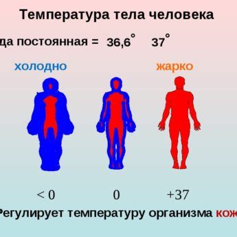 Можно ли делать ФГС при повышенной температуре?