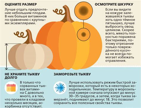 Можно ли крысам сырую тыкву?