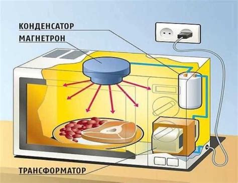 Можно ли обеззараживать книги?