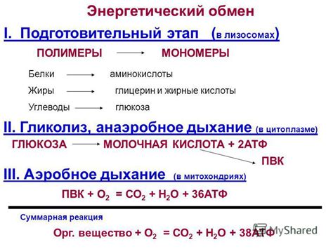 Мозговая энергия: потребление кислорода и глюкозы при мышлении