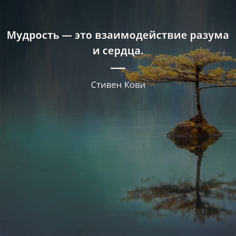 Молитва за мудрость и уверенность в принятии решений