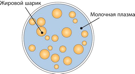 Молоко прокисает и меняет свои свойства