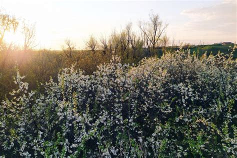 Момент наступления весны